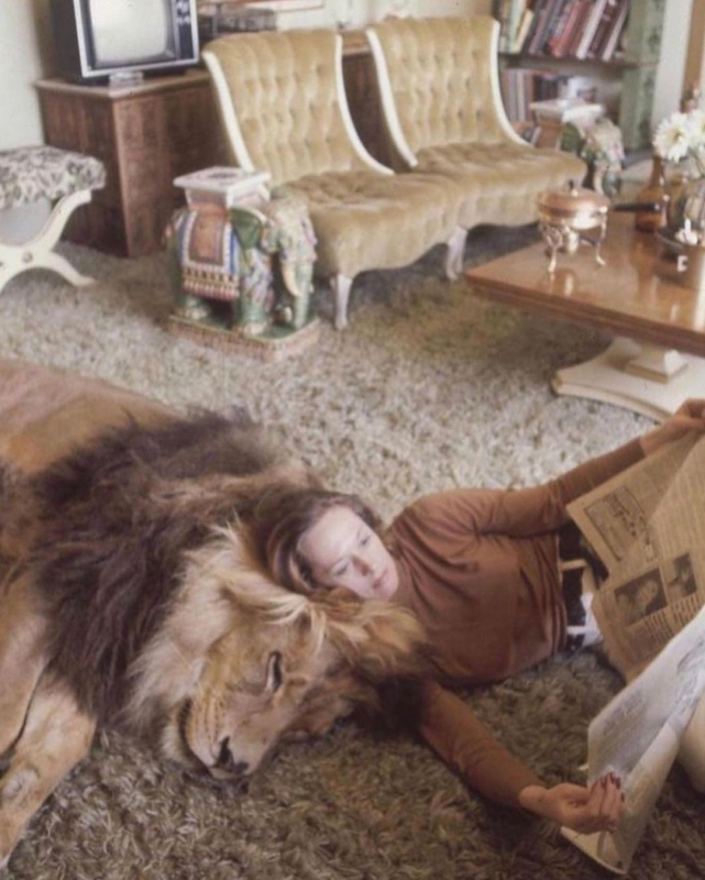dakotajohnson_20211205_26.png