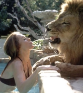 Filename=dakotajohnson_20211205_28.png
Filesize=128KiB
Dimensions=1080x1346
Date added=Dec 05, 2021 dakotajohnson_20211205_28.png